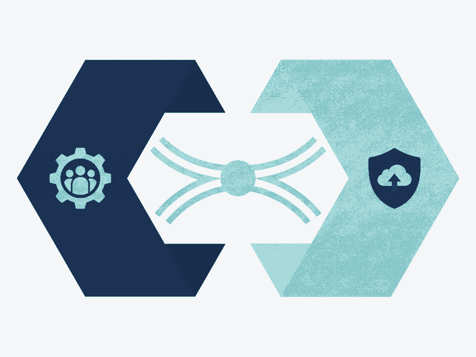 Abstract co-managed IT illustration suggesting shared ownership with TSR.